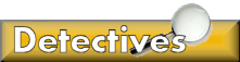 Detective investigation security services